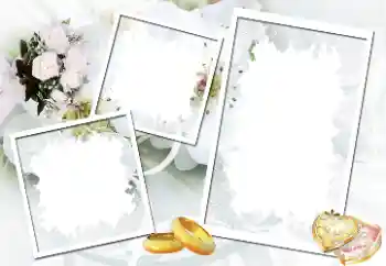 PhotoEffect da categoria Molduras para fotografias de casamento № 40512 PhotoEffect da categoria Molduras para fotografias de casamento № 40512