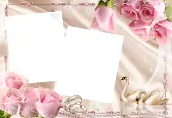 PhotoEffect da categoria Molduras para fotografias de casamento № 43521 PhotoEffect da categoria Molduras para fotografias de casamento № 43521