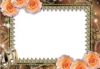 PhotoEffect da categoria Molduras para fotografias de casamento № 45669 PhotoEffect da categoria Molduras para fotografias de casamento № 45669