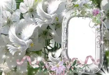 PhotoEffect da categoria Molduras para fotografias de casamento № 50686 PhotoEffect da categoria Molduras para fotografias de casamento № 50686