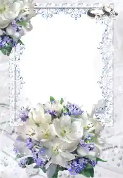 PhotoEffect da categoria Molduras para fotografias de casamento № 52201 PhotoEffect da categoria Molduras para fotografias de casamento № 52201