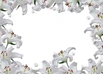 PhotoEffect da categoria Molduras para fotografias de casamento № 54