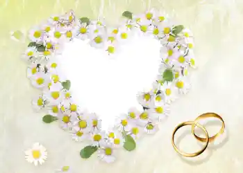 PhotoEffect da categoria Molduras para fotografias de casamento № 56