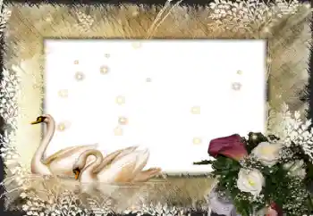 PhotoEffect da categoria Molduras para fotografias de casamento № 58998 PhotoEffect da categoria Molduras para fotografias de casamento № 58998