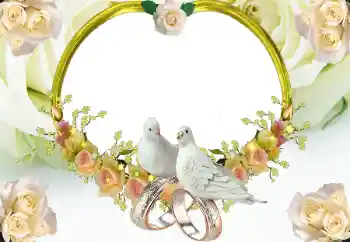 PhotoEffect da categoria Molduras para fotografias de casamento № 8723