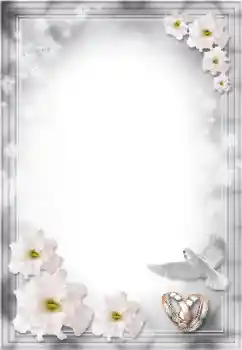 PhotoEffect da categoria Molduras para fotografias de casamento № 8724