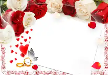 PhotoEffect da categoria Molduras para fotografias de casamento № 89373 PhotoEffect da categoria Molduras para fotografias de casamento № 89373