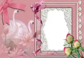 PhotoEffect da categoria Molduras para fotografias de casamento № 99842 PhotoEffect da categoria Molduras para fotografias de casamento № 99842