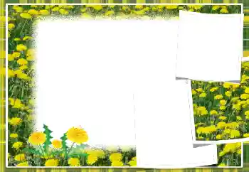 PhotoEffect da categoria Molduras para fotografias femininas № 103949 PhotoEffect da categoria Molduras para fotografias femininas № 103949