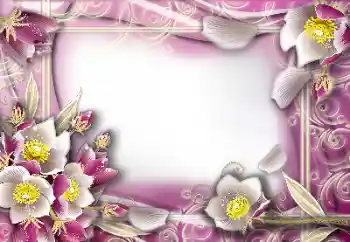 PhotoEffect da categoria Molduras para fotografias femininas № 103964 PhotoEffect da categoria Molduras para fotografias femininas № 103964