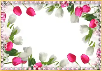 PhotoEffect da categoria Molduras para fotografias femininas № 103965