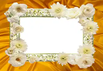PhotoEffect da categoria Molduras para fotografias femininas № 104047 PhotoEffect da categoria Molduras para fotografias femininas № 104047