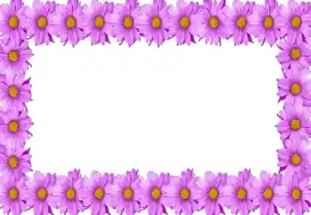 PhotoEffect da categoria Molduras para fotografias femininas № 105414 PhotoEffect da categoria Molduras para fotografias femininas № 105414