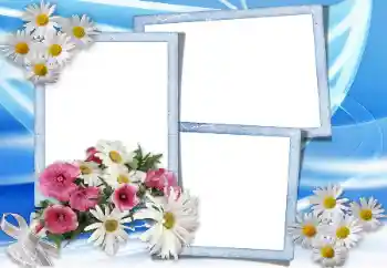 PhotoEffect da categoria Molduras para fotografias femininas № 10866 PhotoEffect da categoria Molduras para fotografias femininas № 10866