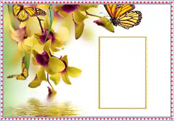 PhotoEffect da categoria Molduras para fotografias femininas № 108699