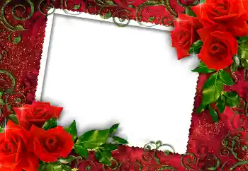 PhotoEffect da categoria Molduras para fotografias femininas № 112252 PhotoEffect da categoria Molduras para fotografias femininas № 112252