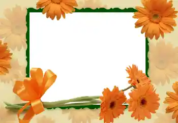 PhotoEffect da categoria Molduras para fotografias femininas № 112266 PhotoEffect da categoria Molduras para fotografias femininas № 112266