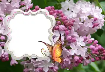 PhotoEffect da categoria Molduras para fotografias femininas № 114264