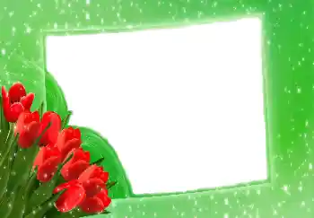 PhotoEffect da categoria Molduras para fotografias femininas № 114275