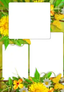 PhotoEffect da categoria Molduras para fotografias femininas № 114738