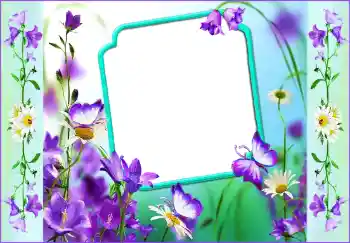 PhotoEffect da categoria Molduras para fotografias femininas № 116096 PhotoEffect da categoria Molduras para fotografias femininas № 116096