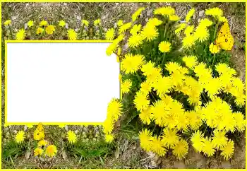 PhotoEffect da categoria Molduras para fotografias femininas № 116202 PhotoEffect da categoria Molduras para fotografias femininas № 116202