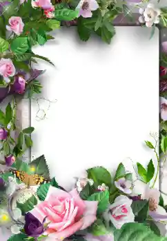 PhotoEffect da categoria Molduras para fotografias femininas № 120003 PhotoEffect da categoria Molduras para fotografias femininas № 120003