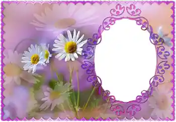 PhotoEffect da categoria Molduras para fotografias femininas № 121118 PhotoEffect da categoria Molduras para fotografias femininas № 121118