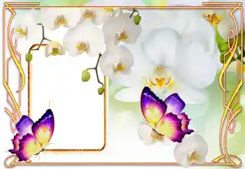 PhotoEffect da categoria Molduras para fotografias femininas № 123218