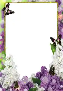 PhotoEffect da categoria Molduras para fotografias femininas № 123231