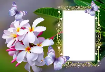 PhotoEffect da categoria Molduras para fotografias femininas № 123254