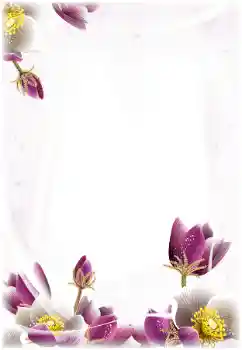 PhotoEffect da categoria Molduras para fotografias femininas № 124368