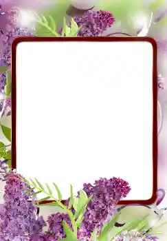 PhotoEffect da categoria Molduras para fotografias femininas № 124572 PhotoEffect da categoria Molduras para fotografias femininas № 124572