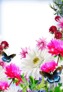 PhotoEffect da categoria Molduras para fotografias femininas № 125845