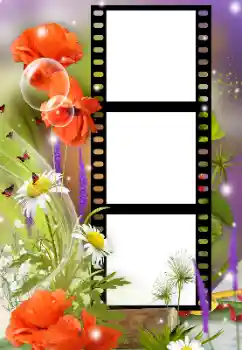 PhotoEffect da categoria Molduras para fotografias femininas № 125912 PhotoEffect da categoria Molduras para fotografias femininas № 125912