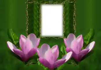PhotoEffect da categoria Molduras para fotografias femininas № 126934 PhotoEffect da categoria Molduras para fotografias femininas № 126934