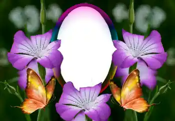 PhotoEffect da categoria Molduras para fotografias femininas № 126946 PhotoEffect da categoria Molduras para fotografias femininas № 126946