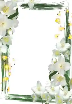 PhotoEffect da categoria Molduras para fotografias femininas № 127290