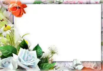 PhotoEffect da categoria Molduras para fotografias femininas № 127301