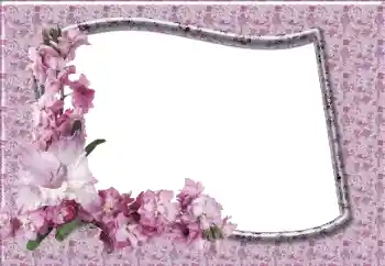 PhotoEffect da categoria Molduras para fotografias femininas № 12831 PhotoEffect da categoria Molduras para fotografias femininas № 12831