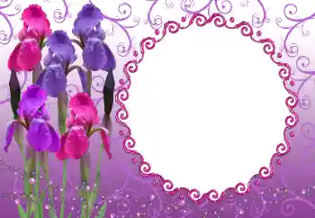 PhotoEffect da categoria Molduras para fotografias femininas № 12894