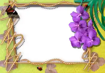 PhotoEffect da categoria Molduras para fotografias femininas № 12895