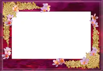 PhotoEffect da categoria Molduras para fotografias femininas № 12896