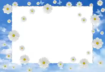 PhotoEffect da categoria Molduras para fotografias femininas № 12899