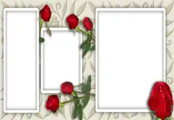 PhotoEffect da categoria Molduras para fotografias femininas № 12947