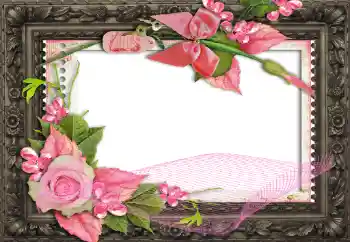 PhotoEffect da categoria Molduras para fotografias femininas № 130791 PhotoEffect da categoria Molduras para fotografias femininas № 130791