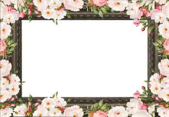 PhotoEffect da categoria Molduras para fotografias femininas № 130792 PhotoEffect da categoria Molduras para fotografias femininas № 130792