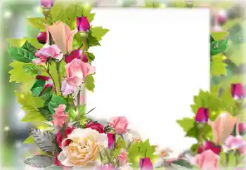 PhotoEffect da categoria Molduras para fotografias femininas № 131178