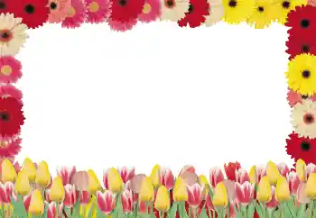 PhotoEffect da categoria Molduras para fotografias femininas № 131256