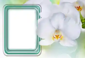 PhotoEffect da categoria Molduras para fotografias femininas № 131485